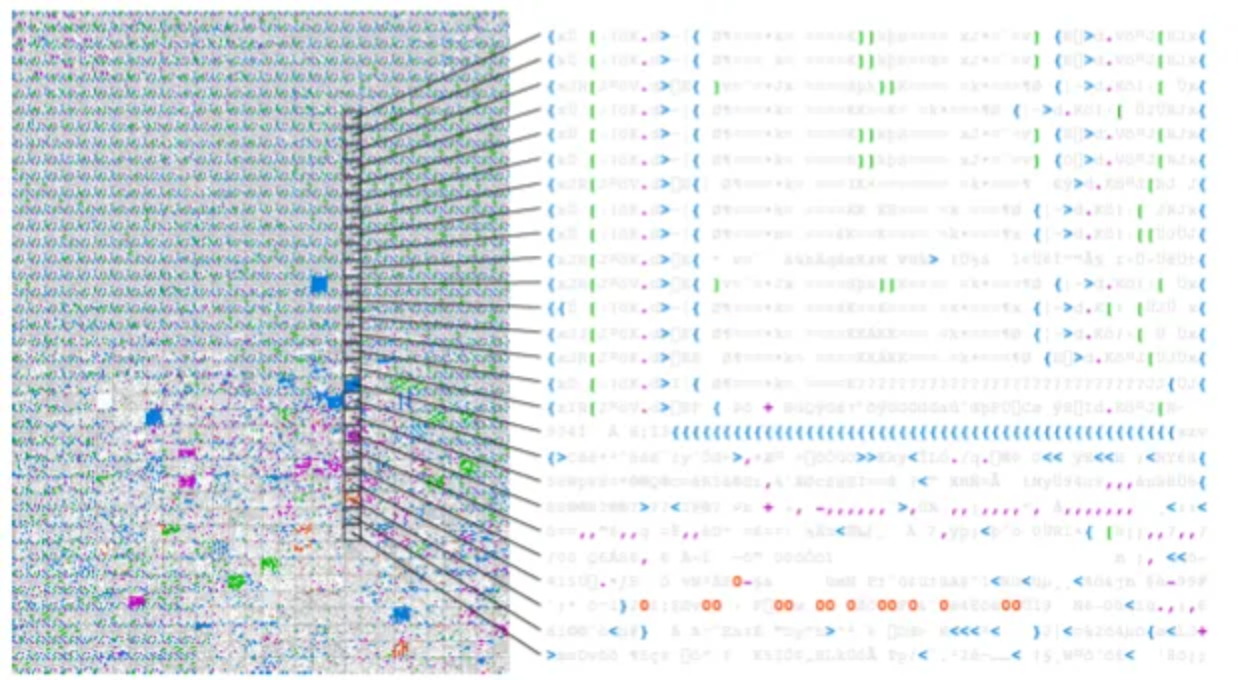 Illustration of self-replicators emerging from a primordial soup in a digital experiment by Google and the University of Chicago.